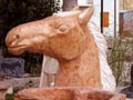 Cavallo Mauro
